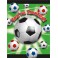 8 SOCCER BALL INVITATION