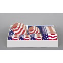 AMERICAN FLAG XS-NC DISP-92PC