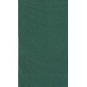 20 FOREST GREEN GUEST NAPKINS