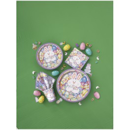 8 BUNNY EGGSITEMENT 9" PLATES