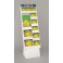 EASTER DUCKY LPNC DISPLAY