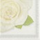 16 WEDDING ROSES LUNCH NAPKINS