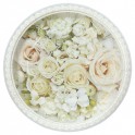 8 WEDDING ROSES 7" PLATES