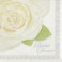 16 BRIDAL SHOWER LUNCH NAPKINS