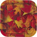 10 VIVID LEAVES 7'' SQUARE PLT