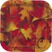 10 VIVID LEAVES 7'' SQUARE PLT