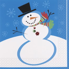 16 STELLAR SNOWMAN BEV NAPS