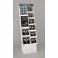 BUBBLY NEW YEAR QL DSPLY-135PC