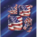 8 OLD GLORY 9" SQUARE PLATES