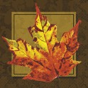24 GOLDEN LEAVES BEVERAGE NAP
