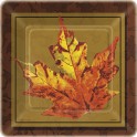 10 GOLDEN LEAVES 7" SQRW PLATE