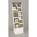 FESTIVE HOLLY QLPNC DISP-120PC