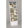 FESTIVE HOLLY QLPNC DISP-120PC