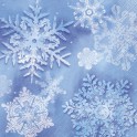 16 SNOWFLAKES BEVERAGE NAPS
