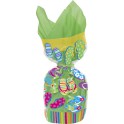 20 FLIP FLOP FUN CELLO BAGS