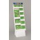 ST PATS CLOVR QLPNC DISP 120PC