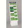 ST PATS CLOVER QLNC DISP 120PC