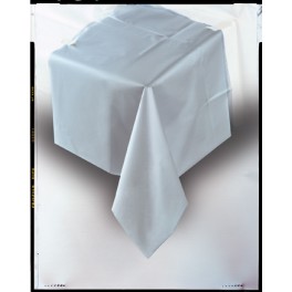 SILVER TABLECOVER 54X108 IN