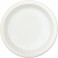 8 9" PLASTIC PLATES-WHITE