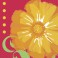 24 SPRING FLING BEV NAP (PZ)