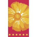 24 SPRING FLING GUEST NAP (PZ)