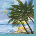 24 PALM TREE BEV NAP (PZ)