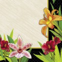 24 TROPICL LILLIES BEV NAP(PZ)