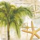 8 TROPICAL TRAVEL COASTERS PZ