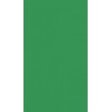 40 EMRLD GREEN GUEST NAPS (PZ)