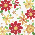 24 FLOWER BURST BEVERAGE NAP
