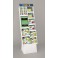 CUPCAKE PARTY L DISPLAY-135PC