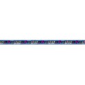 COSMIC BDAY FOIL BNNR -12FT