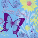 16 BUTTERFLY CHIC LUNCH NAP