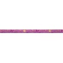 BTTRFLY CHIC FOIL BNNR 12FT