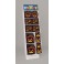 PUMPKIN GRIN T DISPLAY-148PC