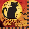 24 SPOOKY HOLLOW  BEV NAPS