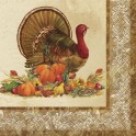 24 RUSTIC TURKEY  BEV NAPS