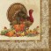 20 RUSTIC TURKEY  LUNCH NAPS
