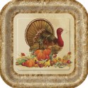 10 RUSTIC TURKEY 7" SQR PLATES
