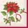 16 POINSETTIA JOY LUNCH NAPS