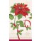 16 POINSETTA JOY GUEST NAPS
