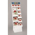 POINSETTA JOY LP-NC DISP-120PC