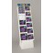STELLAR NEW YEAR LP DISP-135PC