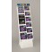 STELLAR NEW YEAR L DISPL-135PC