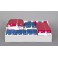 PATRIOTIC STRS QX-NC DISP-84PC
