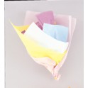 10 ASST PASTEL TISSUE SHEETS