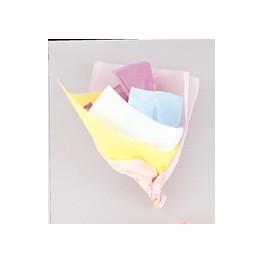 10 ASST PASTEL TISSUE SHEETS