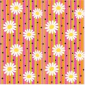 DAISY STRIPE VALUE GIFTWRAP