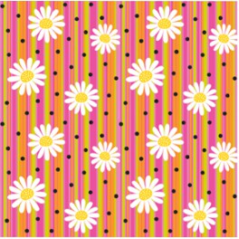 DAISY STRIPE VALUE GIFTWRAP