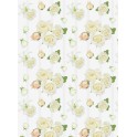 WEDDING ROSES VALUE GIFTWRAP